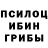 Псилоцибиновые грибы Cubensis Asmik G