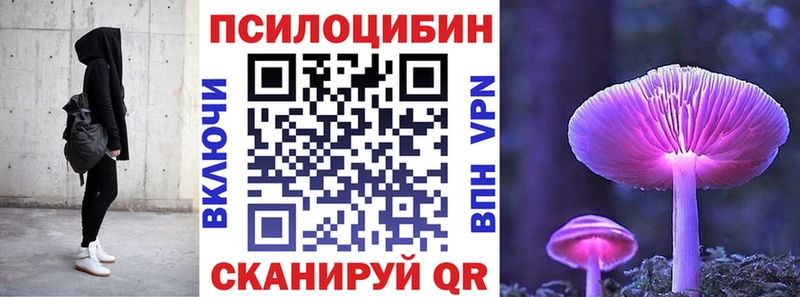 купить наркотики сайты  Абинск  Псилоцибиновые грибы Cubensis 